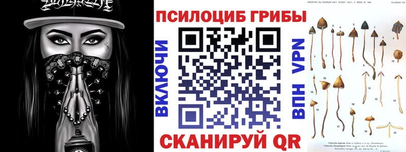 Псилоцибиновые грибы ЛСД  Алейск 