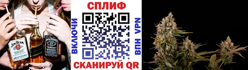 Конопля планчик  купить закладку  Алейск 